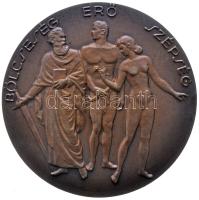 1949. "A Magyarországi Szabadkőművesség 200 Éves Fennállása Emlékére / Bölcseség - Erő - Szépség" Br emlékérem (61mm/73.3g) T:1- Hungary 1949. "200th Anniversary of the Hungarian Freemasonry" commemorative Br medallion (61mm/73.3g) C:AU