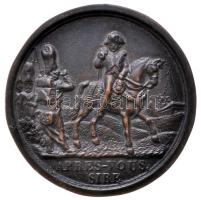 Franciaország 1812/1813. "A francia csapatok visszavonulása Oroszországból" Br egyoldalas emlékérem (46mm/36.1g) T:2 France 1812/1813. "French retreat from Russia" commemorative uniface bronze medallion. "APRÉS-VOUS SIRE" (46mm/36.1g) C:XF