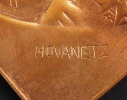 1915 Hindenburg tábornokot ábrázoló "Világháború 1914-1915 emlékére" feliratozott bronz pl...