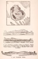 Dr. Bendefy-Benda László: A magyar föld és története, Hazánk talaj és kőzetviszonyai. A magyar föld ...