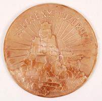 cca 1916 Bercsényi-tüzérek réz plakett /  1915 WW. I. military brass plaquette 14 cm