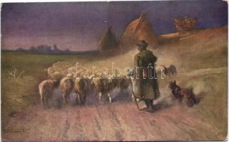 Shepherd with his flock, B.K.W.I. 248-4. s: B. Bélaváry J. (pinhole)
