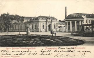 Frantiskovy Lazne, Franzensbad; Egerer Brunnen-Versendungsgebäude, Franzensquelle / spa, fountain (fa)