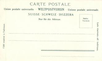 Brünigbahn, Passhöhe, cogwheel railroad, locomotive