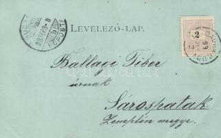 1899 Szabadka, Subotica; Polgári szálloda, vasútállomás / hotel, railway station; floral (EB)