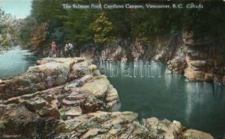 Vancouver, The Salmon Pool, Capilano Canyon