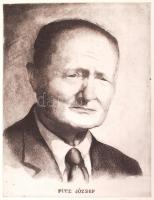 Olvashatatlan jelzéssel: Fitz József (1888-64) művelődéstörténész. Rézkarc, papír, 30x39 cm