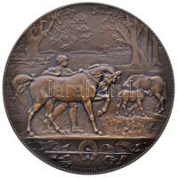 Franciaország 1887-. "Lótenyésztés nagy díja" kitöltetlen bronz díjérem. Szign.: C. Degeorge / H. Dubois (68mm/134.4g) T:1- France 1887-. "Horse breeders" bronze award medallion. Sign: C. Degeorge / H. Dubois (68mm/134.4g) C:AU