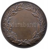 Franciaország 1887-. "Lótenyésztés nagy díja" kitöltetlen bronz díjérem. Szign.: C. Degeor...