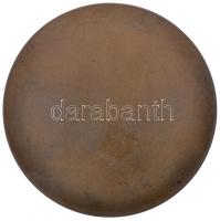 Reményi József (1887-1977) 1913. "Aurora" bronz emlékérem, peremében "É.K.E.1913.50&q...