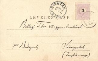 1899 Vajdahunyad, Vasgyár-telep / iron works