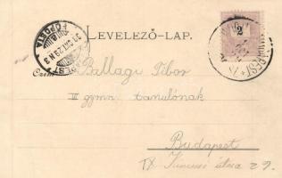 Hatvan, vasútállomás; Hoffmann M. L. kiadása