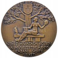 Beck Ötvös Fülöp (1873-1945) 1934. "Dr. Tóth István" Br emlékérem. "TÓTH ISTVÁN DR. E...