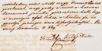 1849 Himes? Lajos Pozsony megye királyi biztosának november 4-én kelt levele Mosonmagyaróvárra a meg...