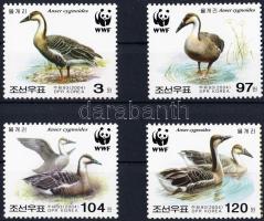 WWF: Hattyúlúd sor, WWF: Swan Goose set