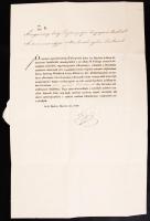 1848 03. 27. Id. Szőgyény-Marich László (1806-1893) a magyarországi polgári közigazgatás elnökének l...