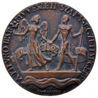 Madarassy Walter (1909-1994) 1939. "A Kitűnő Iparművészeti Szakvégzettségért - MIOE" Br emlékérem eredeti sérült adományozói dísztokban (95.4g/69mm) T:2 Hungary 1939. "For Excellent Qualification of Applied Arts" commemorative Br medallion in original damaged box. Sign: Walter Madarassy (134.8g/69.7mm) C:XF HPII 1678.