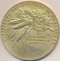 Románia ~1925. "Mezőgazdasági és Vidékfejlesztési Minisztérium - Megyei mezőgazdasági kiállítás...