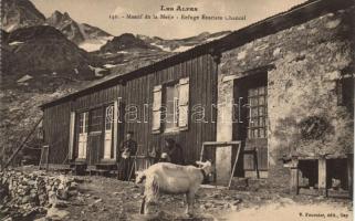 Alps, Meije mountain, Refuge Evariste Chancel, goat