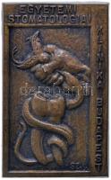 Székely Imre (1898-1972) ~1930. "Egyetemi Stomatologiai Klinika Budapest" bronz gomblyuk-jelvény (23x38mm) T:2 Hungary ~1930. "University Clinic of Stomatology in Budapest" bronze button-badge. Sign.: SZ.I./Imre Székely (23x38mm) C:XF HPII-2673., HV-1509.