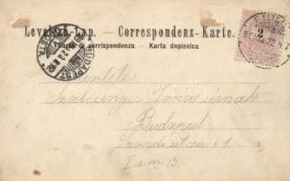 1899 Fiume, Hafen, Corso, floral litho (EK)