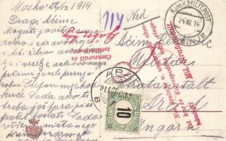 Mosko (Trebinje) Gasthaus, Gebirgsartillerie während des Marsches / K.u.K. military, alpine unit; re...