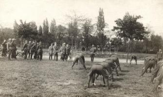 Horthy Miklós katonai terepgyakorlaton; Schäffer Ármin felvétele / Admiral Horthy at a military field practice, original photo