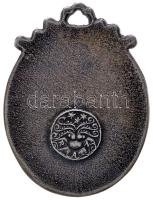 Zutt Richard (1887-1938) ~1930. "AJAX" ovális egyoldalas ezüst medál (32x43mm/12.2g) T:2
H...