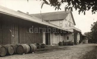 Versec, Helvetia / Shweizer Kellerei, wine cellar photo