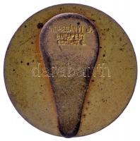 1911. "Korompa Vas és Acélgyári Olvasókör" zománcozott gomblyuk jelvény. Szign.: Morzsányi...