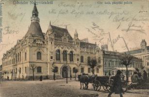 Nagyvárad, Görög katolikus püspöki palota / bishops palace (lyuk / pinhole)