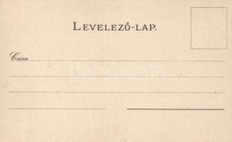 Pécs, Baranya megye, Athenaeum Rt., litho s: Zich