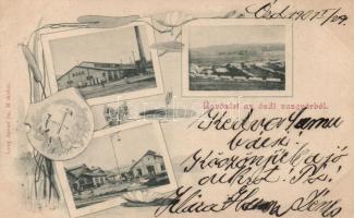 Ózd, Vasgyár, floral; Lővy József kiadása (fl)