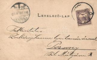 Ózd, Vasgyár, floral; Lővy József kiadása (fl)