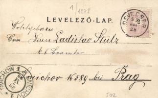 1899 Devecser, Somlyói várrom, Gróf Esterházy-várkastély, floral litho; Rosenberg Zsigmond kiadása