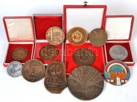 12db vegyes plakett a szocialista időszakból, tokosak is T:vegyes