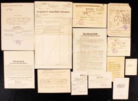1947-1959 Hadifogságból hazatért magyar királyi százados okmányai, 13 db (ideiglenes katonai igazolvány, orvosi vizsgálati papír, szolgálati és nyugellátási kimutatás, díjmentes utazásra jogosító utalvány stb.)