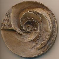 1970. "100 éves a Magyar Meteorológiai Szolgálat 1870-1970" Br emlékplakett tokban (90mm) ...