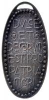 Zutt Richard (1887-1938) 1914. "Édes és dicső dolog a hazáért meghalni" ovális bronz medál...