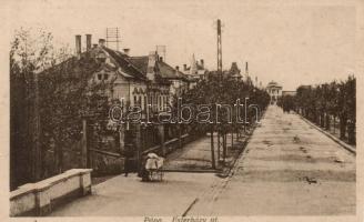 Pápa - 30 darabos régi képeslapgyűjtemény leírásokkal ellátott albumban