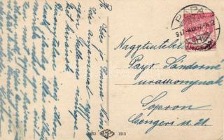 Pápa - 30 darabos régi képeslapgyűjtemény leírásokkal ellátott albumban