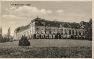 Pápa, Gróf Esterházy-kastély; Kis Tivadar kiadása (Rb)