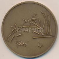 Kiss Nagy András (1930-1997) DN "Omnia Vincit Amor" Br emlékérem (60mm) T:1 ÁPV plasztikto...