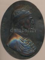 DN Dante Br emlékplakett. Szign.: CR (90x116mm) T:2 ND Dante Br plaque. Sign.: CR (90x116mm) C:XF