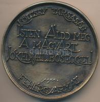 Melocco Miklós (1935-) DN "Kölcsey Társaság Fehérgyarmat" Br emlékplakett (98mm) T:2