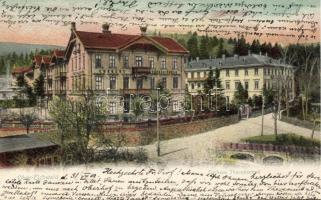Dubí, Eichwald; Curhaus Theresienbad / spa