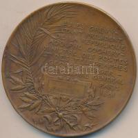 Franciaország 1882. "Nemzetközi Villamosenergiai KIállítás" Br díjérem. Szign.: Louis Osca...