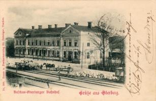 Oderberg Bahnhof