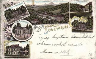 1899 Rogaska Slatina, Rohitsch Sauerbrunn, litho (Rb)