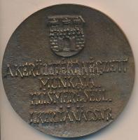 DN "A kerületért végzett munkája elismeréséül - I. Kerületi Tanács" Br emlékplakett (82mm)...